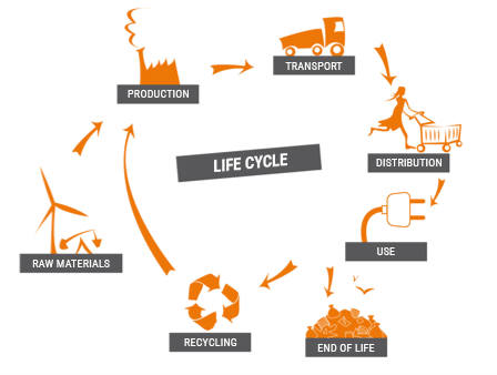 Life cycle